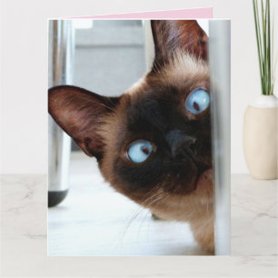 MOEDERDAG LIEF POEPENDE KAT VERJAARDAGKAART KAART