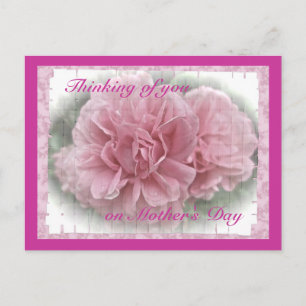 Moederdag roze klimmende Roos bloesems Briefkaart