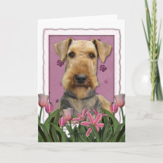 Moederdag - Roze Tulpen - Airedale Kaart (Voorkant)