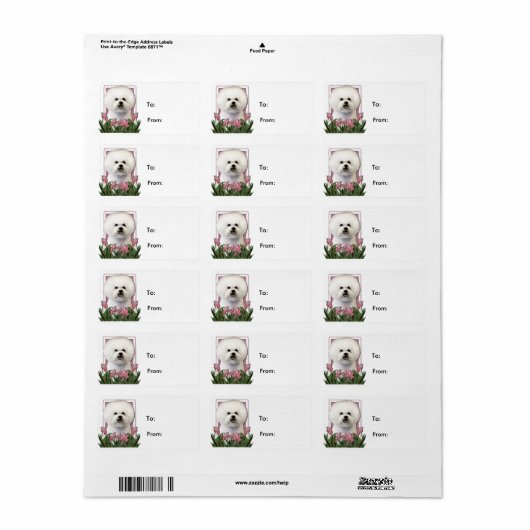Moederdag - Roze Tulpen - Bichon Frise Etiket (Full Sheet)