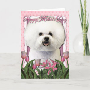 Moederdag - Roze Tulpen - Bichon Frise Kaart