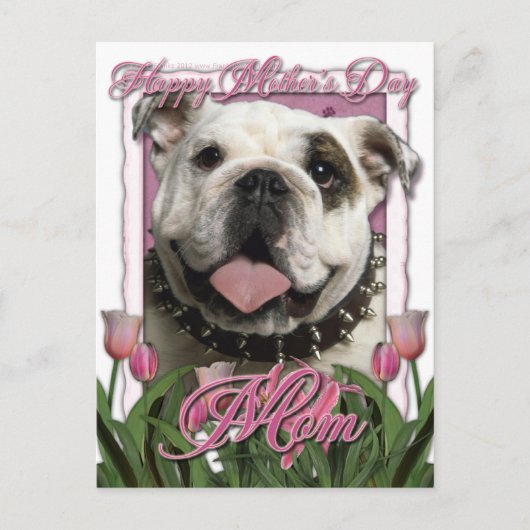 Moederdag - Roze Tulpen - Bulldog Briefkaart (Voorkant)