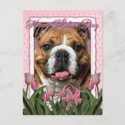 Moederdag - Roze Tulpen - Bulldog Briefkaart (Voorkant)