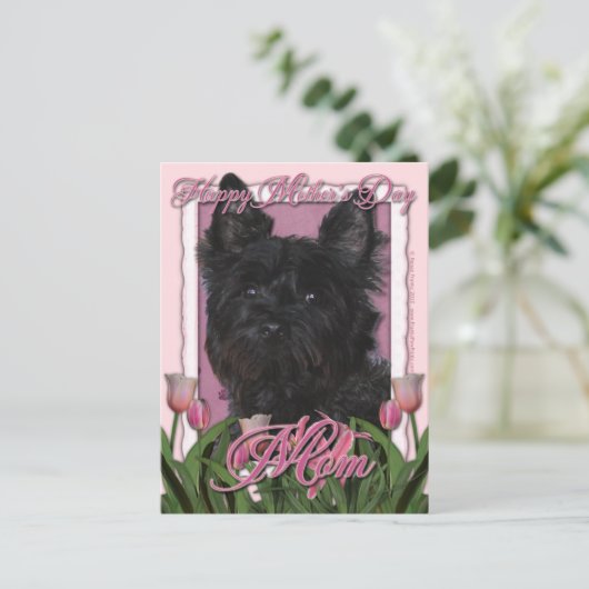 Moederdag - Roze Tulpen - Caïro Terrier - Rosco Briefkaart (Staand voorkant)