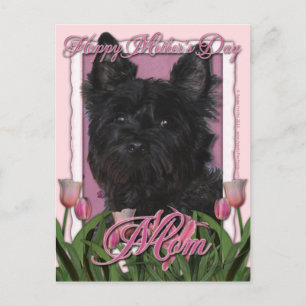 Moederdag - Roze Tulpen - Caïro Terrier - Rosco Briefkaart