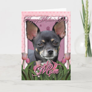 Moederdag - Roze Tulpen - Chihuahua - Isabella Kaart