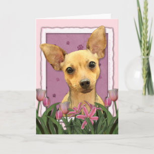 Moederdag - Roze Tulpen - Chihuahua Kaart