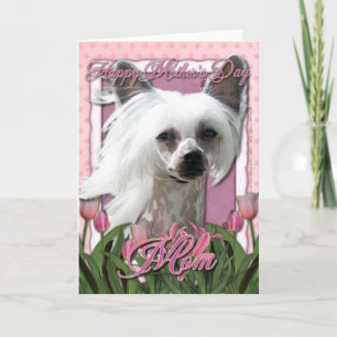 Moederdag - Roze Tulpen - Chinese Crested - Kahlo Kaart