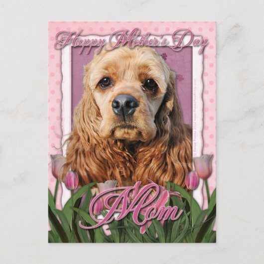 Moederdag - Roze Tulpen - Cocker Spaniel Briefkaart (Voorkant)