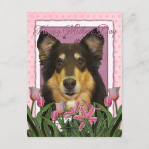Moederdag - Roze Tulpen - Collie - Caroline Briefkaart