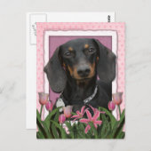 Moederdag - Roze Tulpen - Dachshund - Winston Briefkaart (Voorkant / Achterkant)