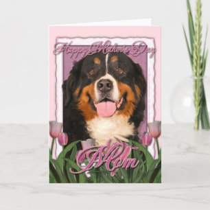 Moederdag - Roze Tulpen - de Hond van de Berg Kaart