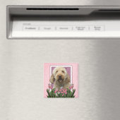 Moederdag - Roze Tulpen - Goldendoodle Magneet (Insitu (Vaatwasser))