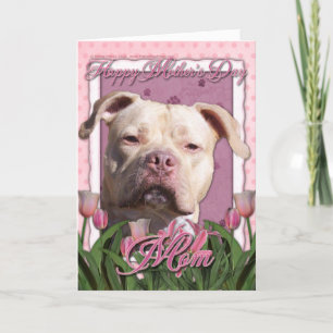 Moederdag - Roze Tulpen - Pitbull - Jersey Girl Kaart