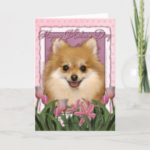 Moederdag - Roze Tulpen - Pomeranian Kaart
