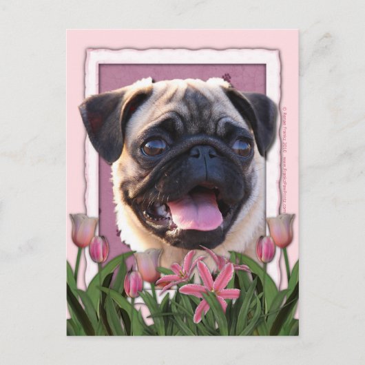 Moederdag - Roze Tulpen - Pug Briefkaart (Voorkant)