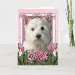Moederdag - Roze Tulpen - West Highland Terrier Kaart