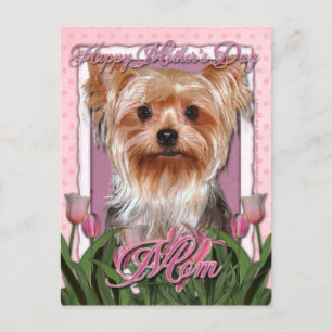 Moederdag - Roze Tulpen - Yorkshire Terrier Briefkaart