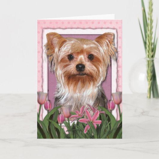 Moederdag - Roze Tulpen - Yorkshire Terrier Kaart (Voorkant)