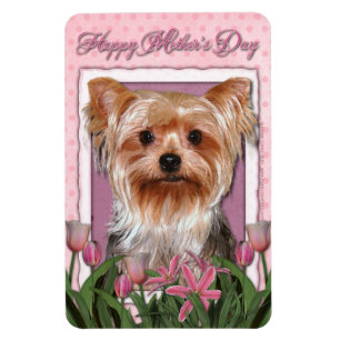 Moederdag - Roze Tulpen - Yorkshire Terrier Magneet