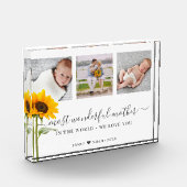 Moederdag Script meest fantastische moeder Fotoblokken (Links)