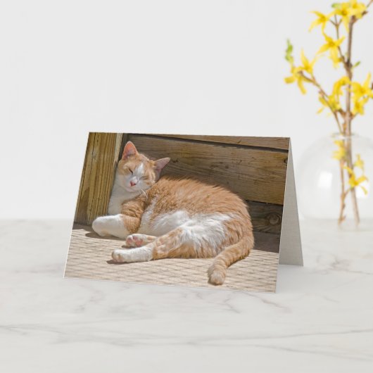 Moederdag Tabby Cat Nap Kaart (Gele Bloem)
