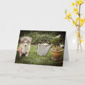 Moederdag tuinieren Corgi wenskaart Kaart (Gele Bloem)