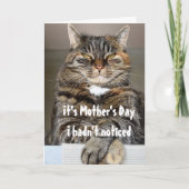 Moederdag Van Kat Grappig Schattig Kaart (Voorkant)