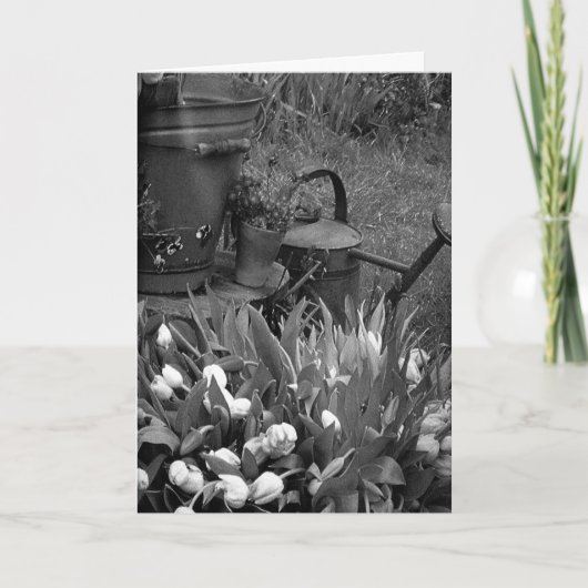 MOEDERDAG VOOR EEN SPECIALE DAME IN JE LEVEN KAART (Voorkant)