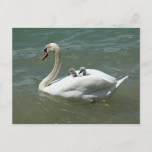 Moederdag zwenkvogels natuur schattig briefkaart