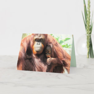 Moederdagkaart met orang-oetan die de duim omhoog  kaart