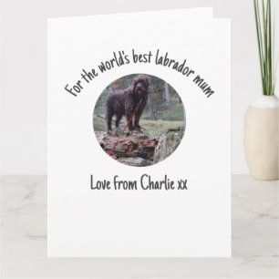 Moederdagkaart voor de beste labrador-moeder ter w kaart