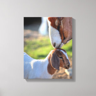 Moedergeiten en Baby Canvas Afdruk