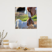 Moedergeiten en Baby Poster (Keuken)