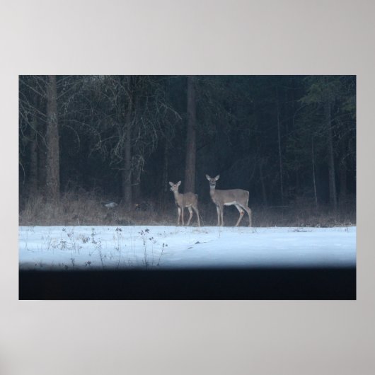 Moederhert en fawn poster (Voorkant)