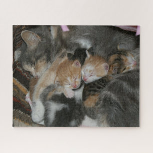 Moederkat en Baby Kittens Legpuzzel