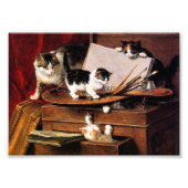 Moederkat en Kittens op tafel Foto Afdruk (Voorkant)