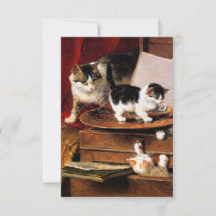 Moederkat en Kittens op tafel Kaart