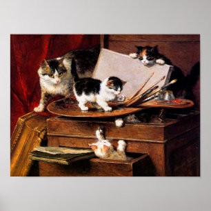 Moederkat en Kittens op tafel Poster