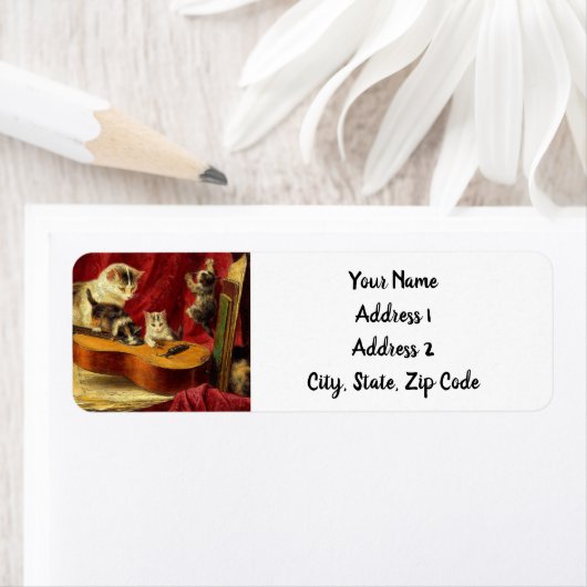 Moederkat en Kittens spelen met gitaar Etiket (Insitu)