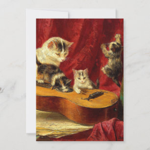 Moederkat en Kittens Spelen met Gitaar Kaart