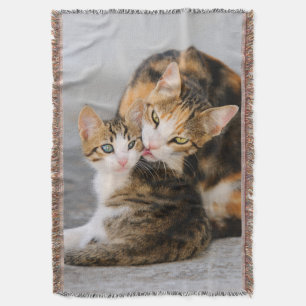 Moederkat houdt van katten die een deken gooien