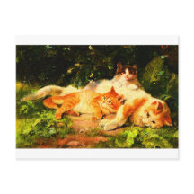 moederkat met haar speelse kinderen