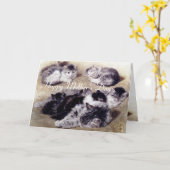 MOEDERKAT MET KITTENS/Moederdag Kaart (Gele Bloem)