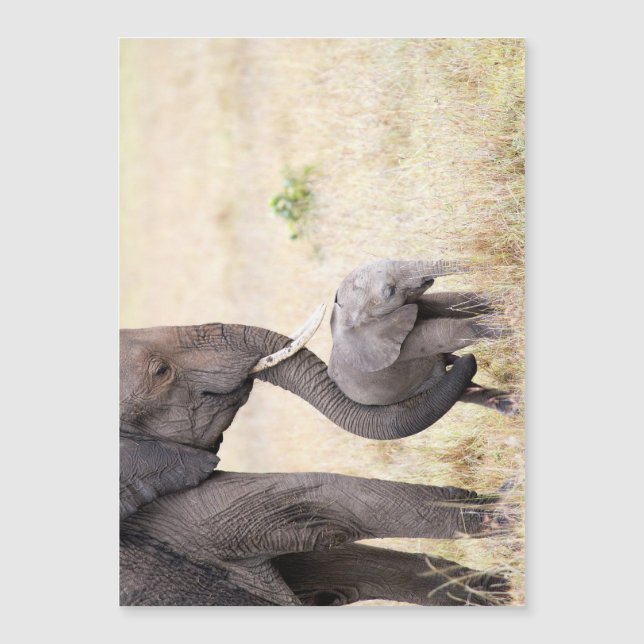 Moederliefde (Voorkant)