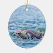 Moederliefde Dolphin & Baby Ornament (Links)