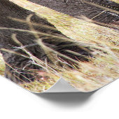 Moederliefde Poster (Hoek)