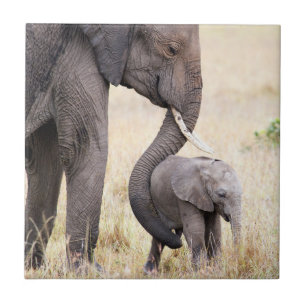 Moederliefde Tegeltje