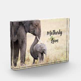 Moederlijk liefdesolifant baby gepersonaliseerd fotoblokken