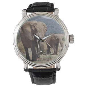 Moederolifant die loopt met olifantenkalf horloge
